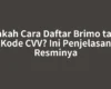Bisakah Cara Daftar Brimo tanpa Kode CVV? Ini Penjelasan Resminya