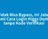Tidak Bisa Bypass, Ini Jalur Resmi Cara Login Higgs Domino tanpa Kode Verifikasi
