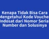 Kenapa Tidak Bisa Cara Mengetahui Kode Voucher Indosat dari Nomor Serial Number dan Solusinya