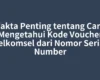 Fakta Penting tentang Cara Mengetahui Kode Voucher Telkomsel dari Nomor Serial Number
