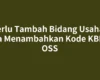 Perlu Tambah Bidang Usaha? Cara Menambahkan Kode KBLI di OSS