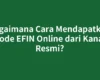 Bagaimana Cara Mendapatkan Kode EFIN Online dari Kanal Resmi?